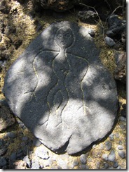 Waikoloa petroglyphs 3