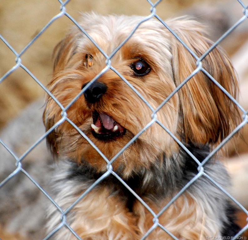 [DSC_7525%255B4%255D.jpg]