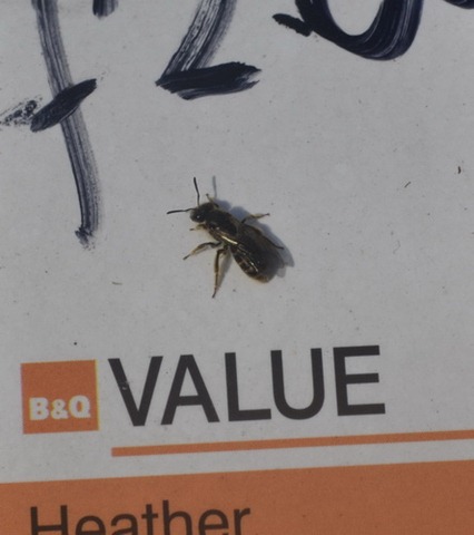 [value%2520bg%255B3%255D.jpg]