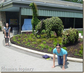 wendy and katrina being the topiary