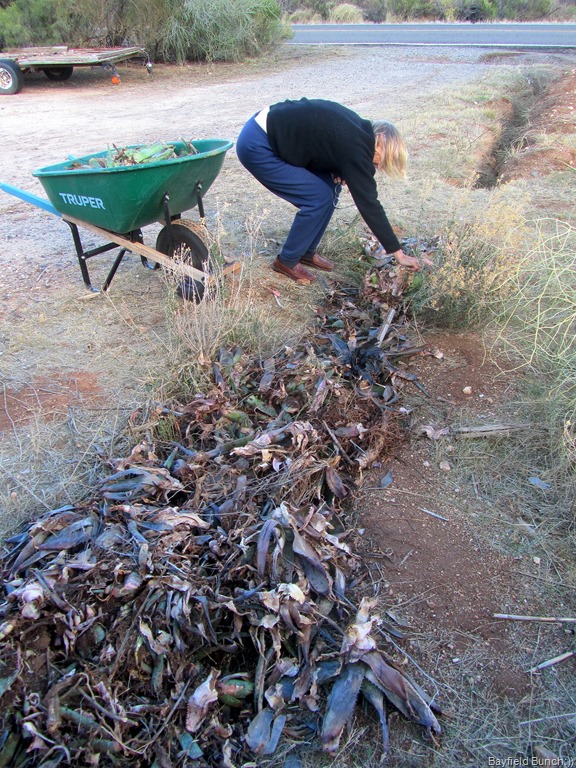 [IMG_1848%255B9%255D.jpg]