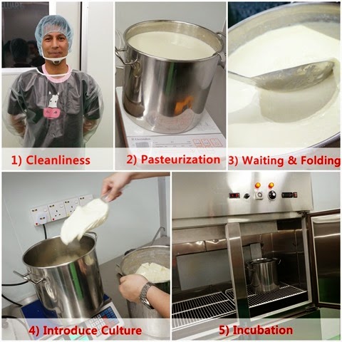[moocowyogurtmaking4.jpg.webp]