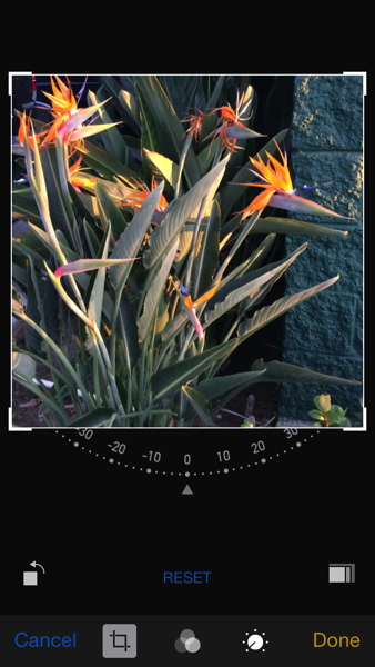 IMG_7943.PNG iOS 8 photos after cropping