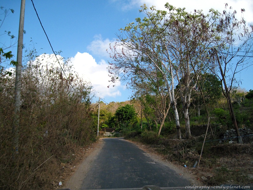 [DPP905%255B8%255D.jpg.webp]