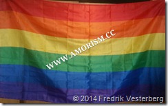 bm-image-722812 Prideflagga