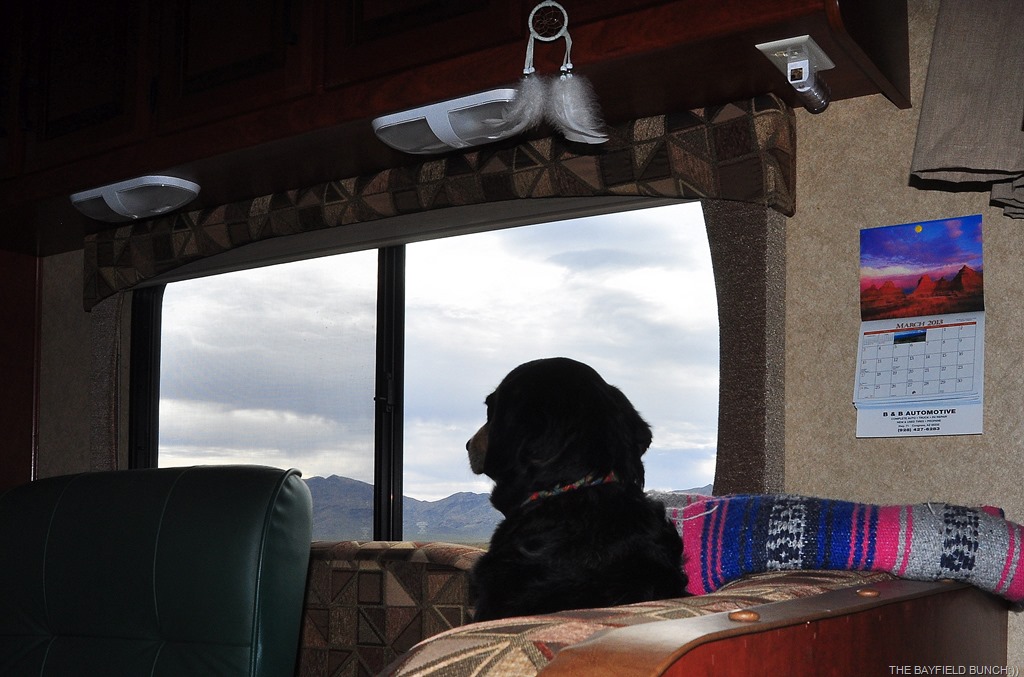 [DSC_0023%255B4%255D.jpg]