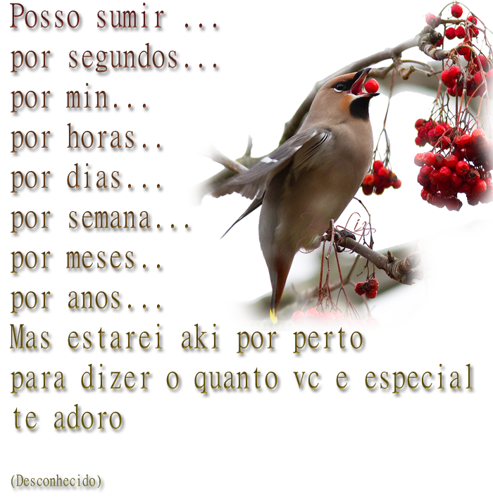 texto00.png
