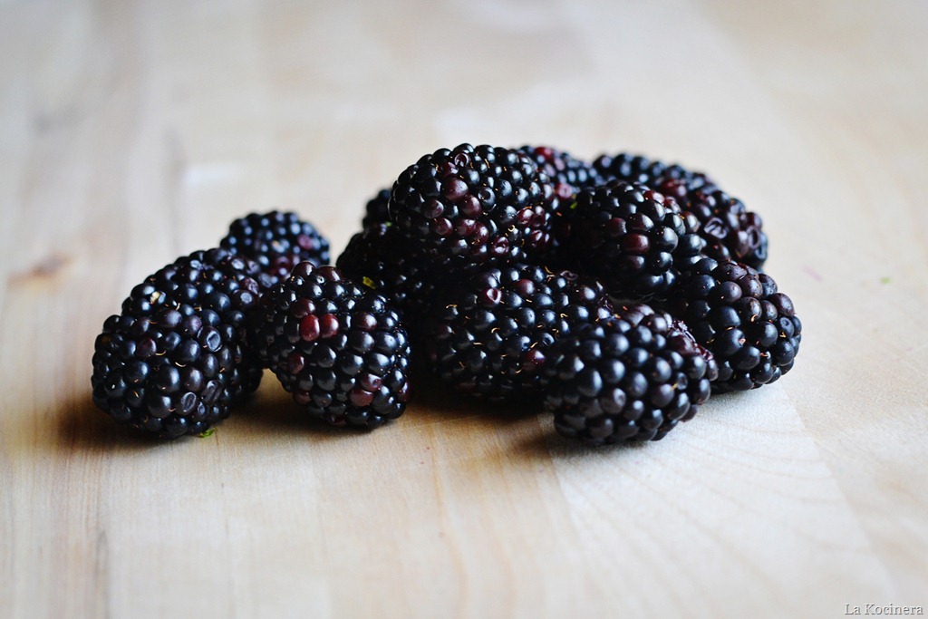 [blackberries%255B11%255D.jpg]