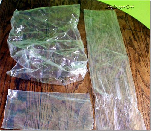 usesforplasticpackingbags