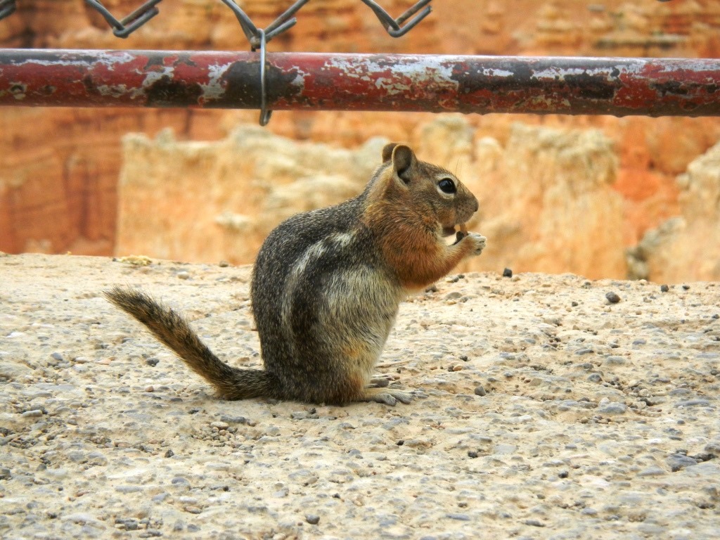 [DSCN6363%2520-%2520Kopie%255B4%255D.jpg]