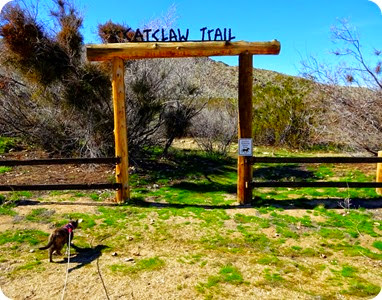 Catclaw trail