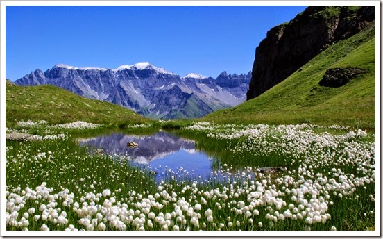 nature_switzerland_lakes_alps_meadows_white_flowers_1600x900_69