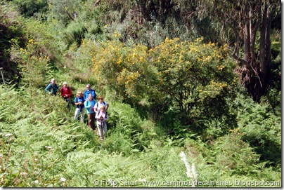 5459 La Laguna-Vueltas Acero-Firgas 5459 La Laguna-Vueltas Acero-Firgas