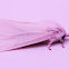 Pink-legged Tiger Moth - Hodges#8133