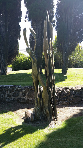 Tree Sculpture At Hui No eau