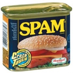 spam-300x300