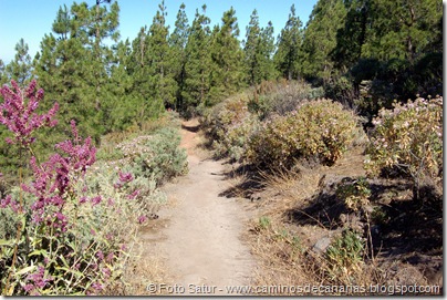 6349 Deg. Las Palomas-Bº. Hondo 6349 Deg. Las Palomas-Bº. Hondo