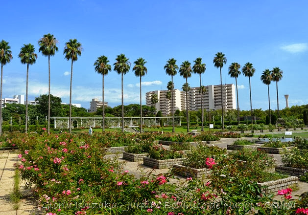 80 - Glória Ishizaka - Jardim Botânico Nagai - Osaka