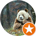 Image Google de Pauline Cpn
