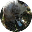 Image Google de Cristel Dufau
