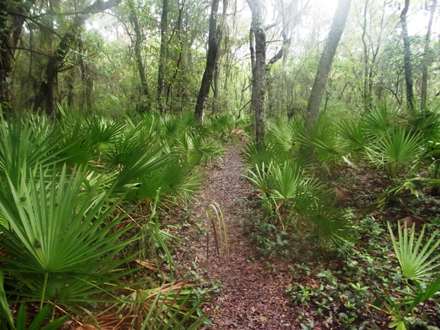 [25riverpath0023.jpg]