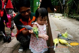 Langkawi Wildlife Park Langkawi Wildlife Park