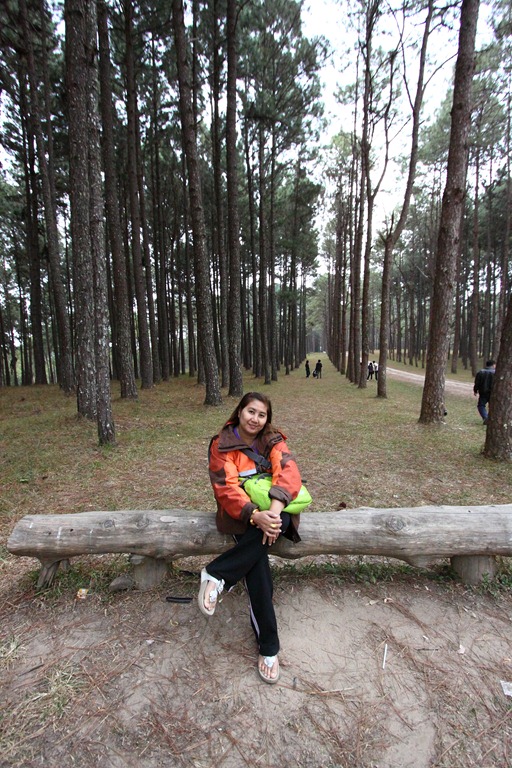 [IMG_5197DDp%255B4%255D.jpg]