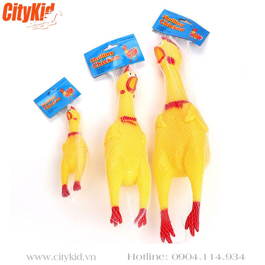 Gà bóp kêu Shrilling chicken Gà Shrilling chicken Hà Nội