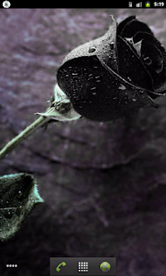 Free Rosas Negras APK