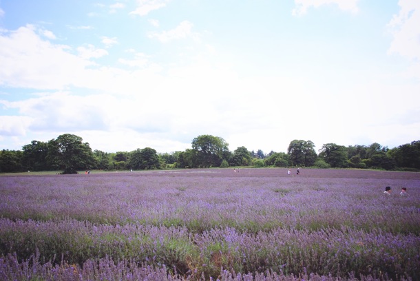DSC_0355a.jpg DSC_0355a.jpg
