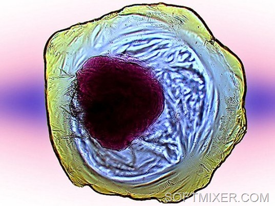 [2011-12-26_145528%255B6%255D.jpg]