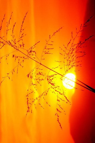 Wallpapersmania-vol33-033