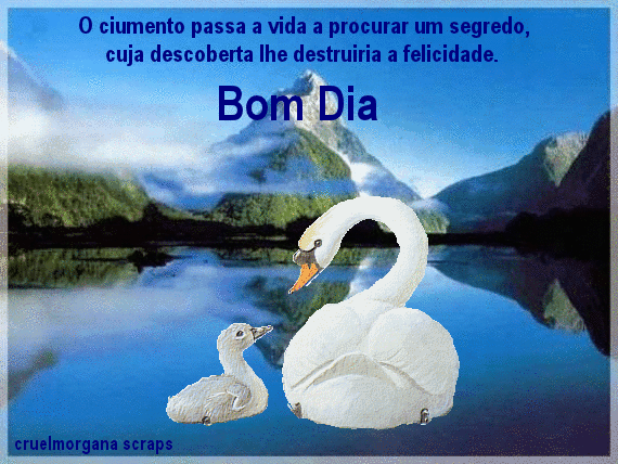 3.gif