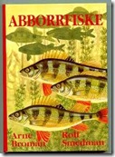 abborrfiske