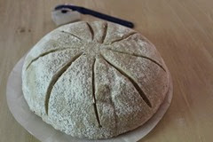 sourdough-asiago-rosemary-pepper-bread_111