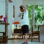 Brahmi-4.gif