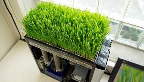 green computing - literally!
