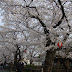 DA★ 16-50mm F2.8ED AL[IF]SDM
