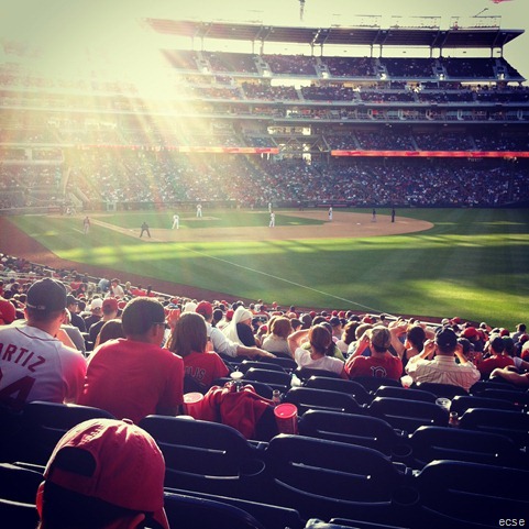 nats game