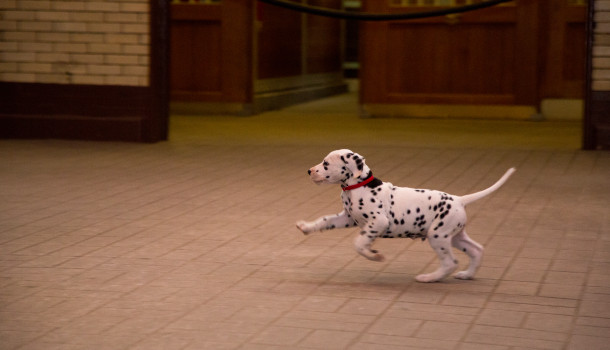 [image%255B4%255D.png]