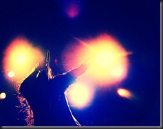 263287_234264619952170_100001059019808_746267_5474157_n