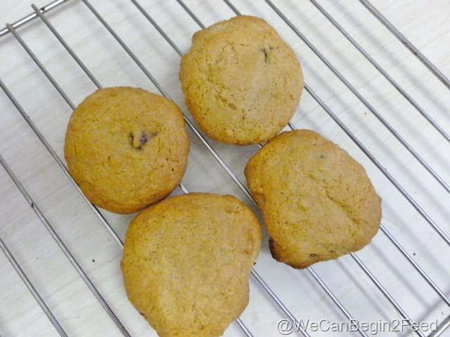 [Apr-30-GF-chocolate-chip-cookies-003.jpg]