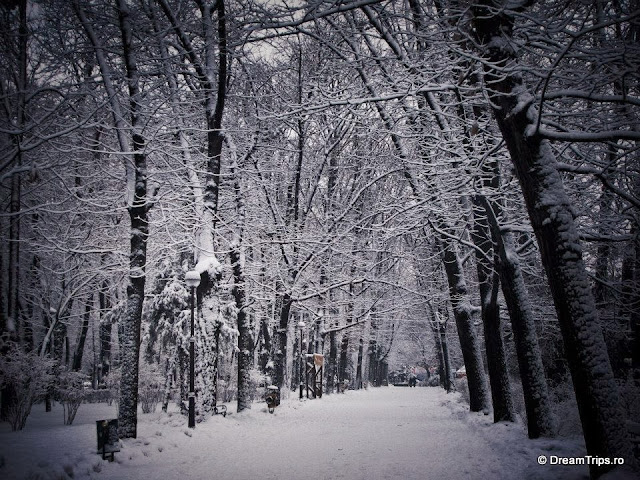 Iarna în București