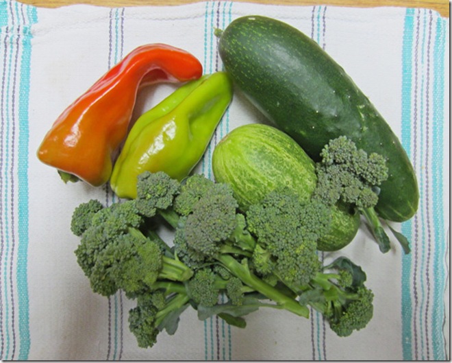 Peppers, cucumbers and broccoli