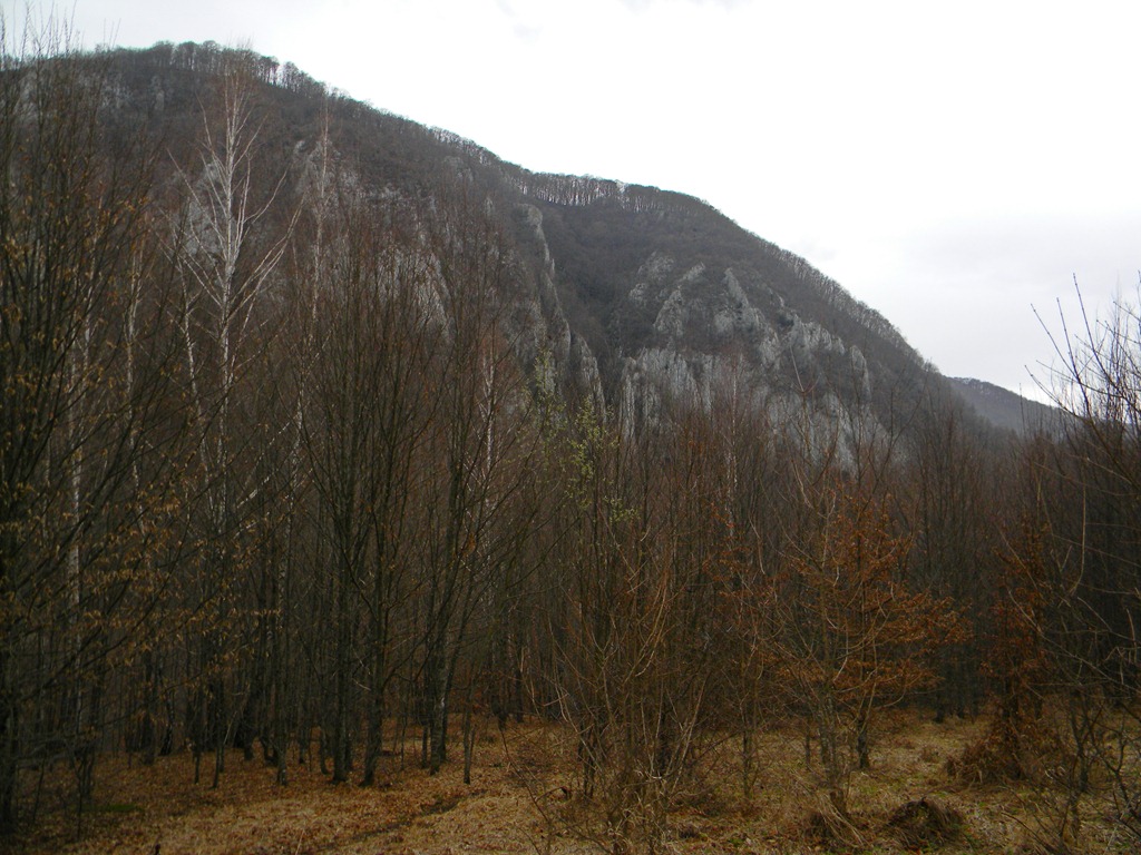 [DSCN87813.jpg]