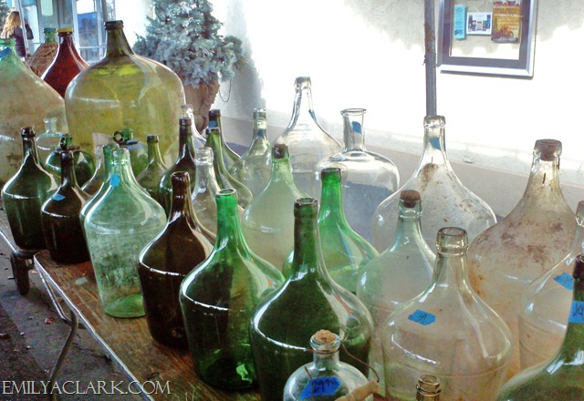 [20121102_112928_5298.jpg]