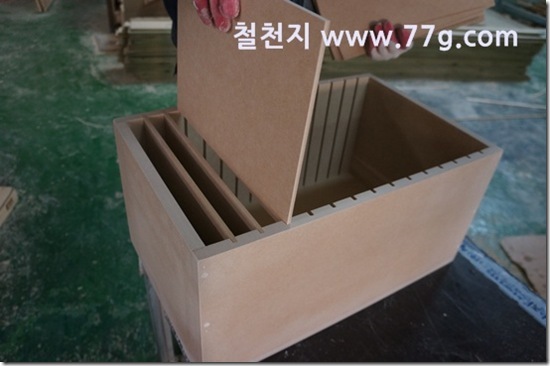 77gDSC08038-20130306-144000