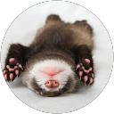 Jen Oceguera profile picture