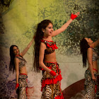 IMG_31783.jpg
