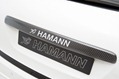 Hamann-Guardian-Evo-9